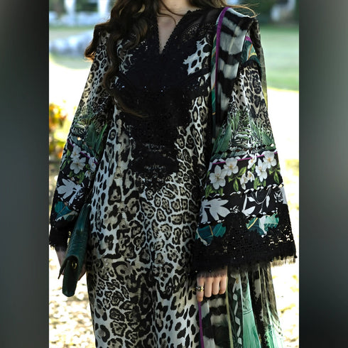 Elaf Cheetah