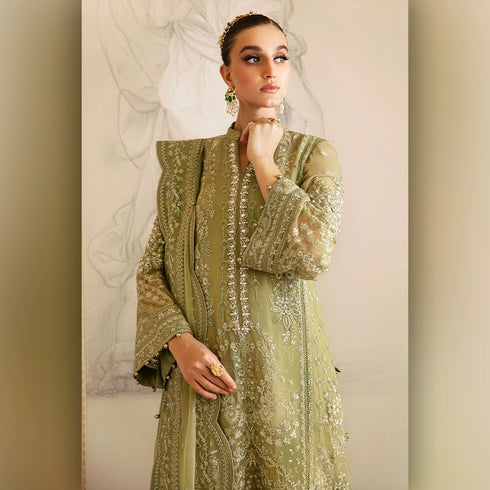 Gulal Olive Premium